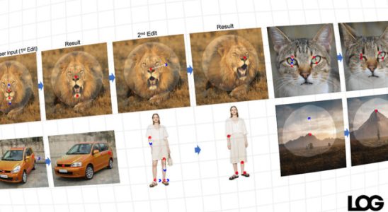 Future proof AI system for photo editing