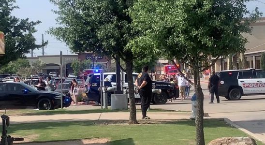 Gun attack on shopping mall in the USA 8 dead