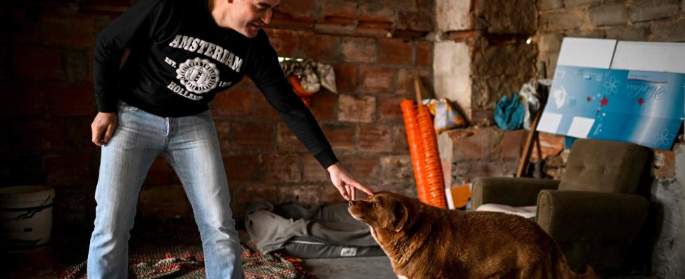 He is the worlds oldest dog now he is