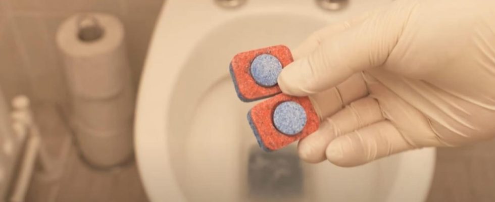 He puts dishwasher tablets in the toilet watch what