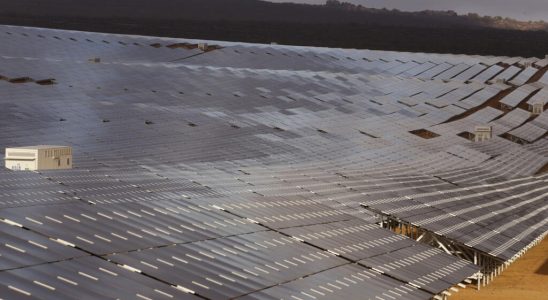 IEA predicts solar investment to overtake oil in 2023