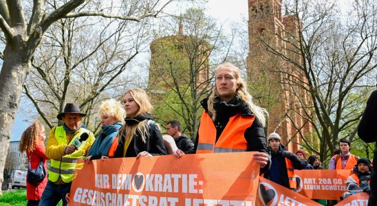 In Germany the government is cracking down on radical environmental