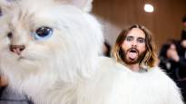 Jared Leto in a cat costume confused on the red