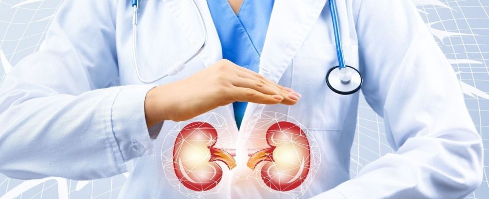 Kidney transplant rejections software allows them to be diagnosed in