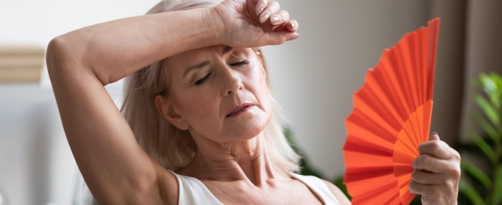 Menopause and hot flashes a hormone free drug seems promising