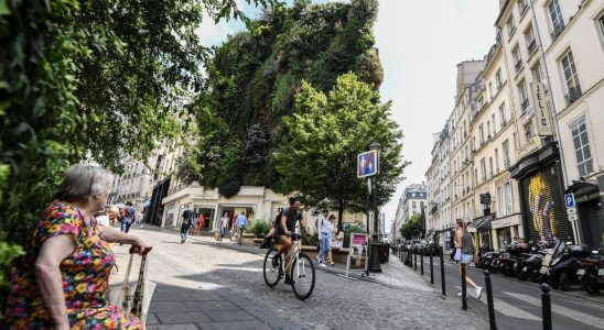 More vegetation shadehouses Paris seeks to adapt to heat waves