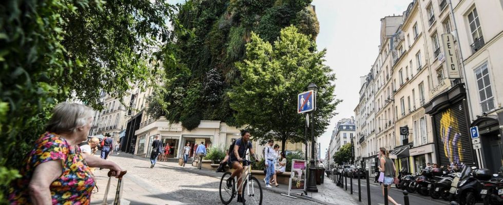 More vegetation shadehouses Paris seeks to adapt to heat waves