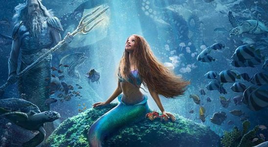 Movie outings for children the Little Mermaid Miraculous Films not