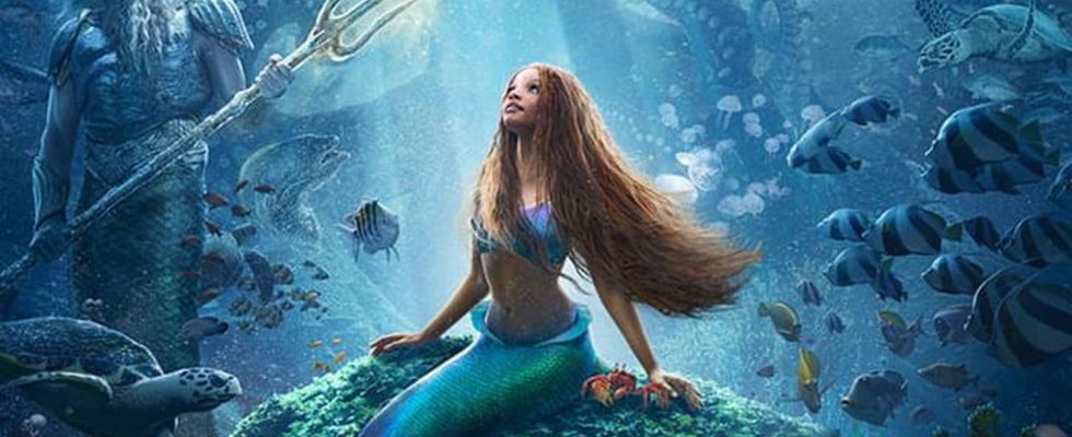 Movie outings for children the Little Mermaid Miraculous Films not