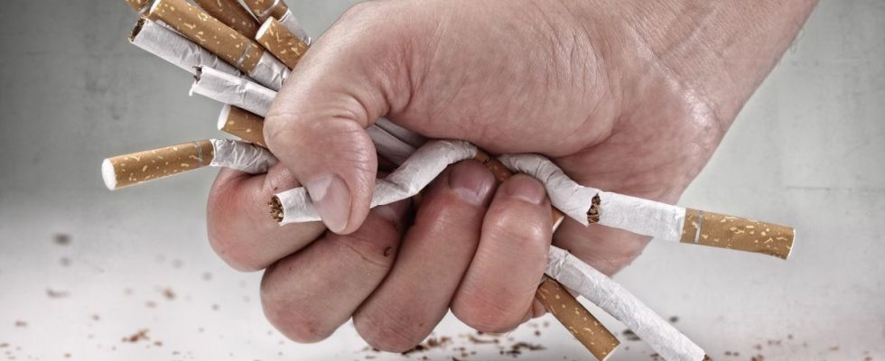 Nearly 12 million French people still smoke daily