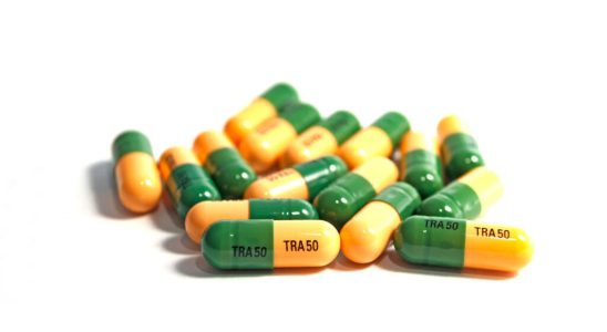 Niger dismantles networks of traffickers of tramadol and pregabalin drugs