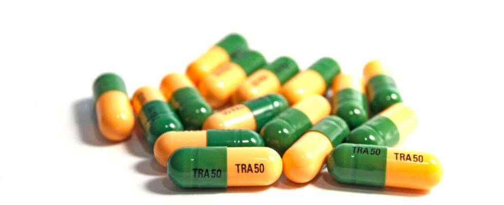 Niger dismantles networks of traffickers of tramadol and pregabalin drugs