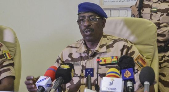 North West CAR Chadian and Central African forces are carrying out