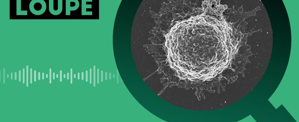 PODCAST Computers with human cells to boost AI