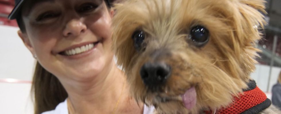 Pet Palooza Brantford entertains families and their pets