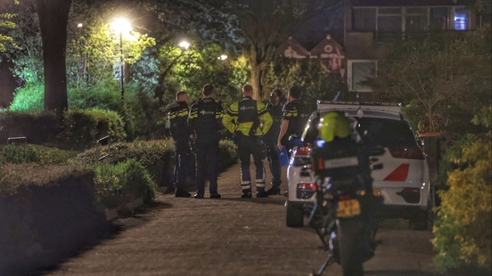 Police shoot confused man when arrested in Wijk bij Duurstede