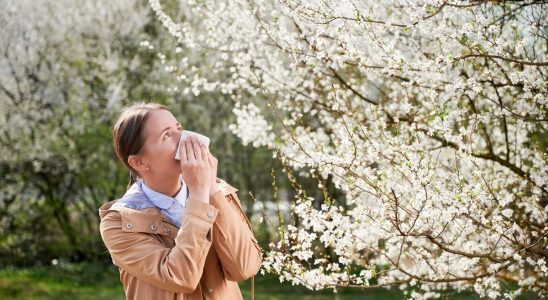 Pollens almost all of France is on red alert