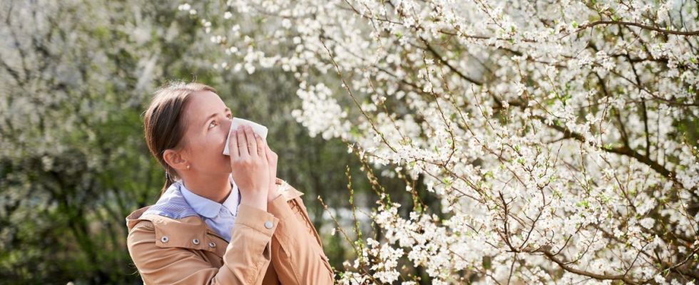 Pollens almost all of France is on red alert