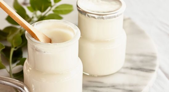 Product recall presence of foreign bodies in yoghurts