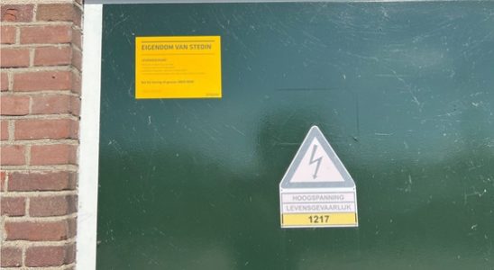 Protected bat creates voltage in Doorns transformer house