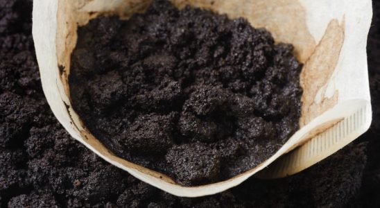 Put coffee grounds in the fridge when you see