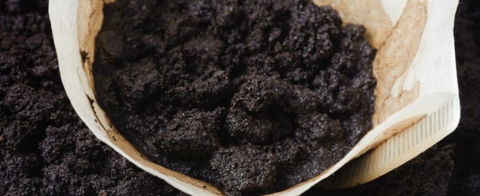 Put coffee grounds in the fridge when you see