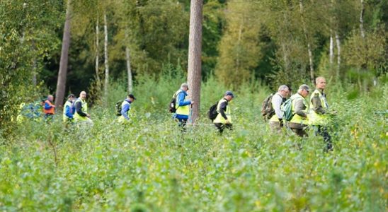 Red Cross volunteers help police search for missing persons