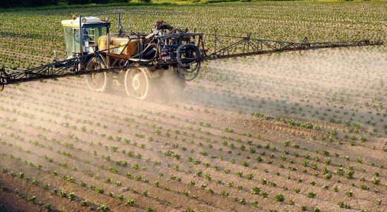 Reduction of pesticides when the European right opposes the Commission