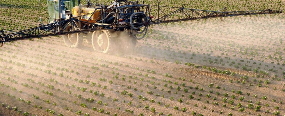 Reduction of pesticides when the European right opposes the Commission