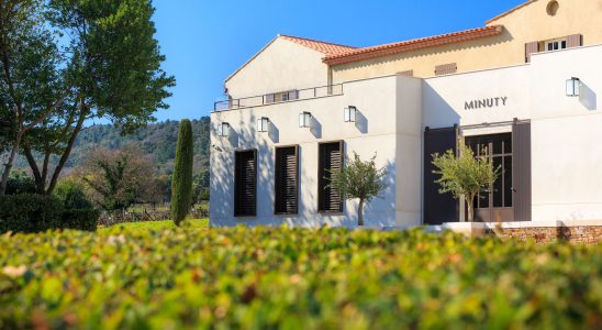 Rose wine the new giants of Provence