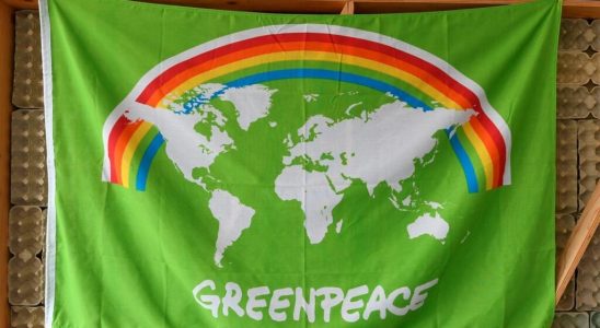 Russia declares the NGO Greenpeace undesirable banning its activities in