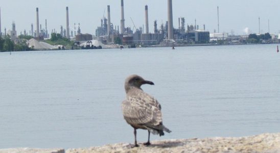 Sarnia area environmental health project set to finish this year