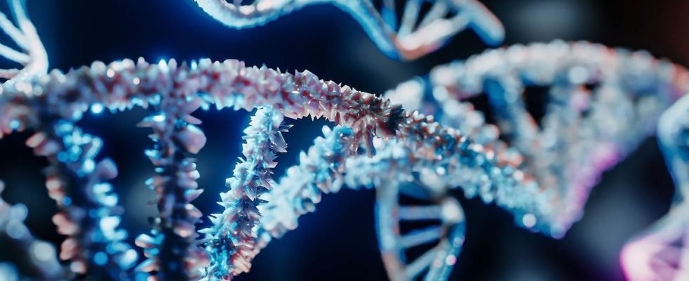 Scientists unveil first human pan genome