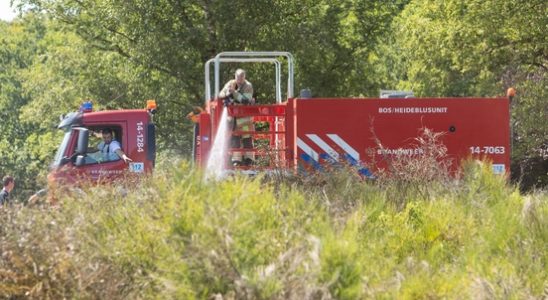 Security region Utrecht warns of increased risk of wildfire