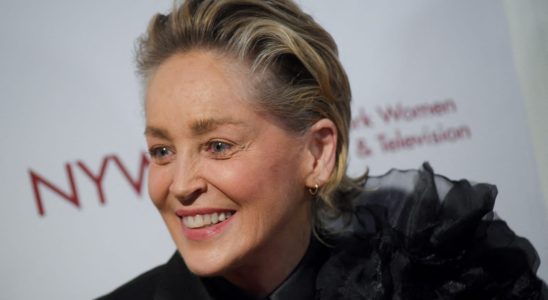 Sharon Stone in a bikini at 65 displays a body