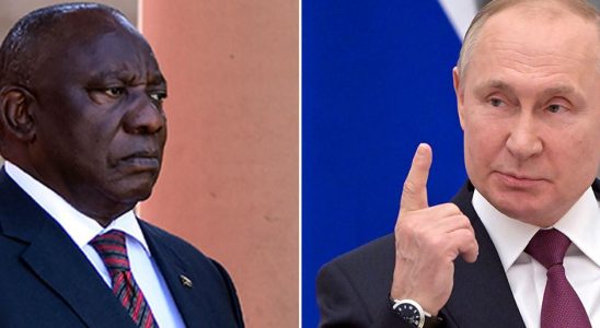 South Africas headache urged to arrest Putin on visit