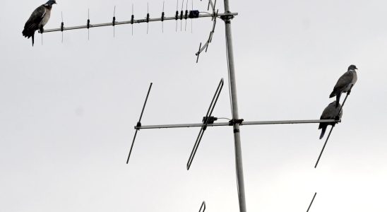 TV channels are down in northern Sweden