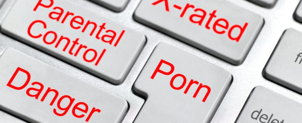 The massive and early consumption of porn by minors pointed