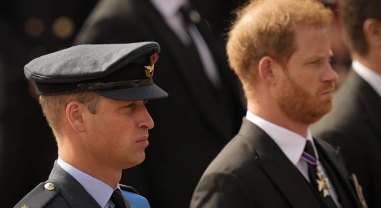 The relationship between princes Harry and William damaged by disputes