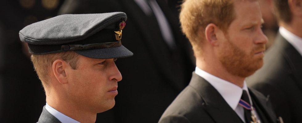 The relationship between princes Harry and William damaged by disputes