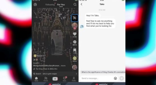 TikTok AI chatbot Tako helps you find more interesting videos