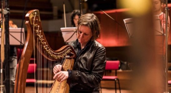 Tinekes harp was stolen after a concert in Utrechts Pieterskerk