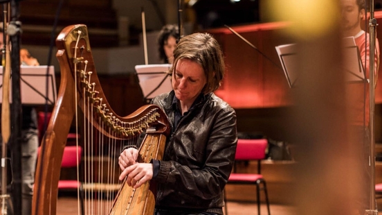 Tinekes harp was stolen after a concert in Utrechts Pieterskerk