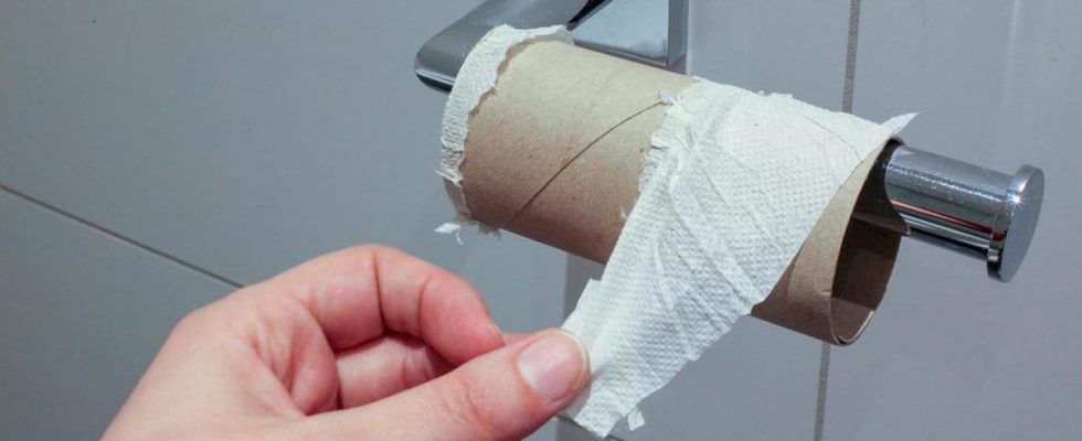 Toilet Paper Will Disappear and Heres What Well Use Instead