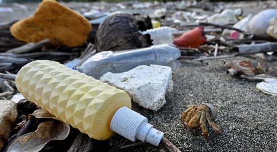 Treaty on plastics what should we expect from the negotiations