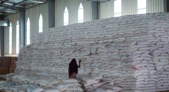 UN stops food aid to Tigray after thefts