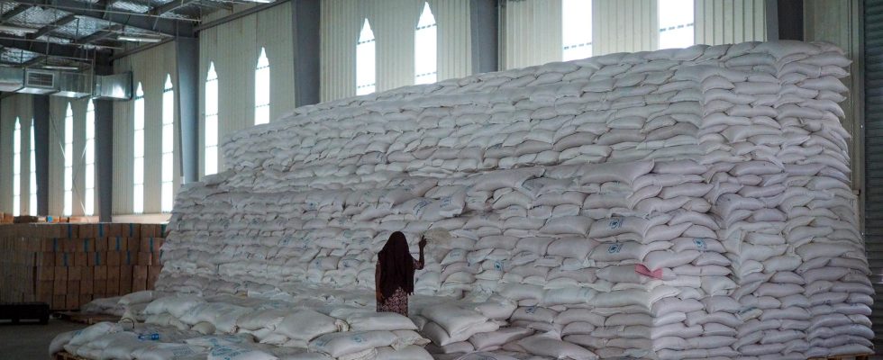 UN stops food aid to Tigray after thefts