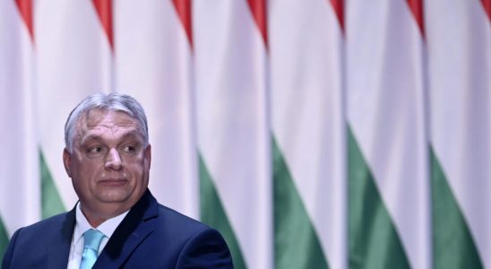 Unease in Brussels at the idea of ​​Hungary taking over