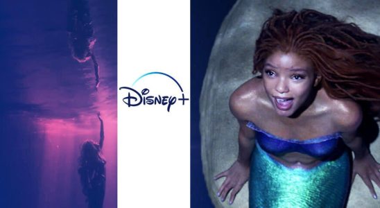 When is Little Mermaid coming to Disney Everything about the