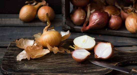 Why You Should NEVER Throw Away Onion Skins